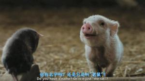 电影《夏洛特的网》励志片尾曲:Ordinary Miracle 平凡的奇迹(双语歌词) 电影《夏洛特的网》励志片尾曲:Ordinary Miracle 平凡的奇迹(双语歌词)
